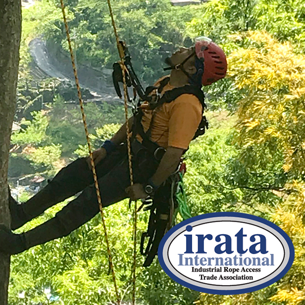 産業用ロープアクセスＩＲＡＴＡ（アイラタ）国際資格保有者
